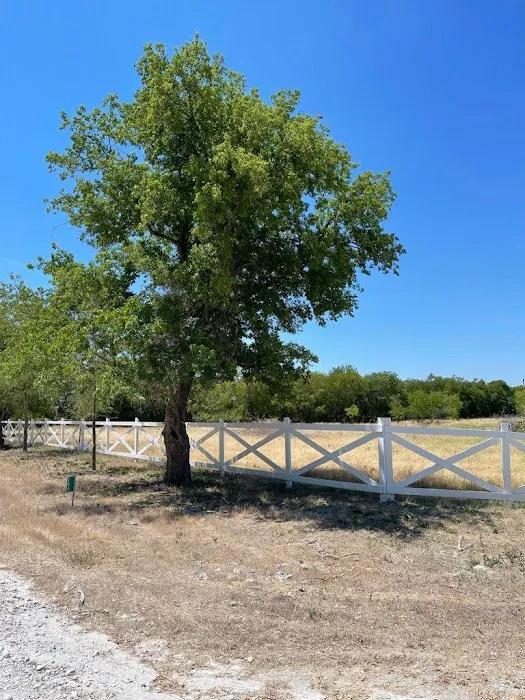 Whitney Willow RV Park Picture 5