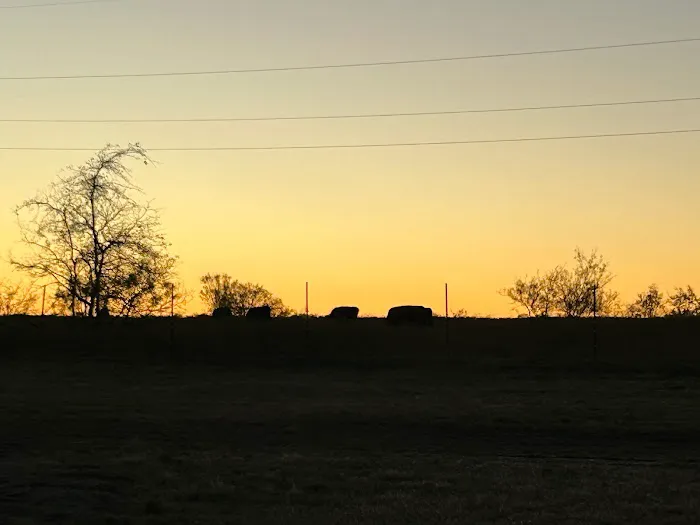 Whitney Willow RV Park Picture 4