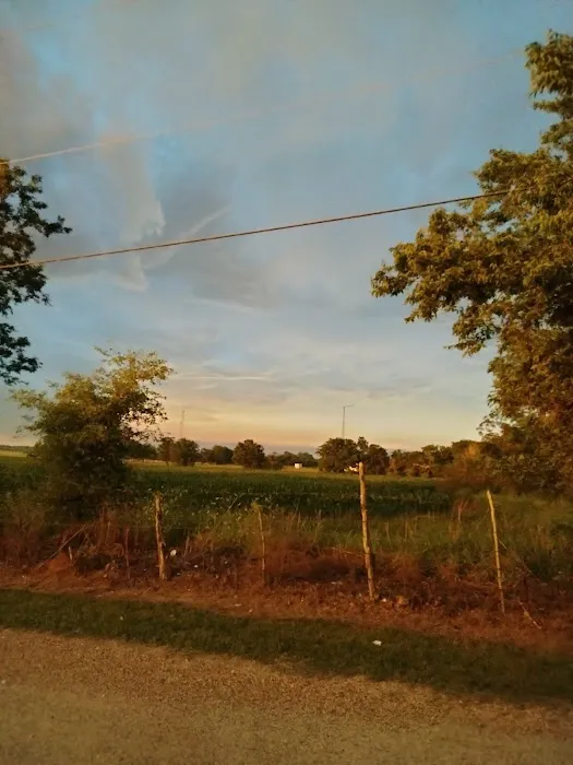 k&l trailer park Picture 1