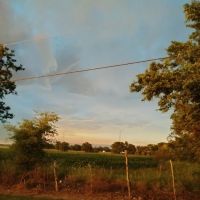 k&l trailer park ico