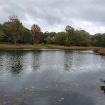 Natures Paradise RV Community