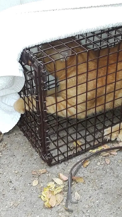 Willow Bend Mobile Park Picture 2