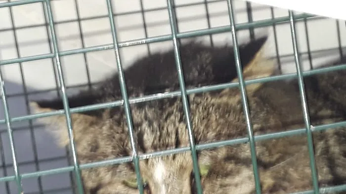 Willow Bend Mobile Park Picture 4