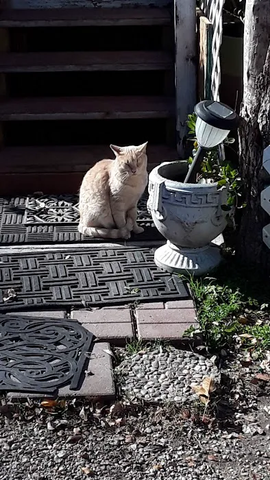 Willow Bend Mobile Park Picture 1