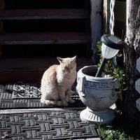 Willow Bend Mobile Park ico