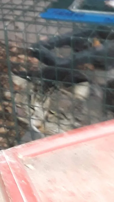 Willow Bend Mobile Park Picture 5