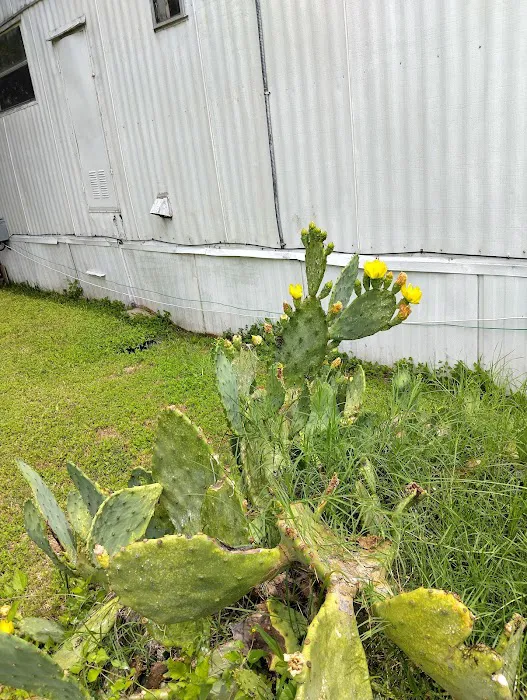 Meadow Oaks Mobile Home Picture 2