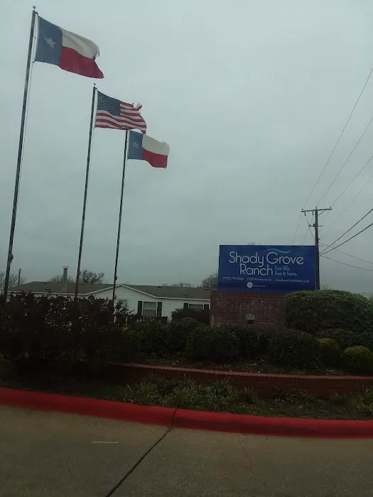 Shady Grove Ranch Manufactured Home Community Picture 10