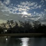 Fred Mitchell Mobile Home Park