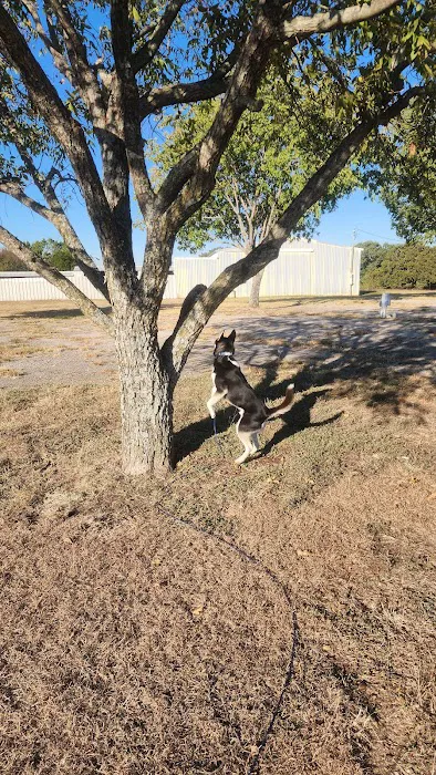 Stewart's RV Park Picture 5