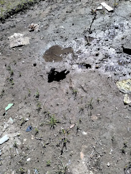 Escondido Village Picture 6