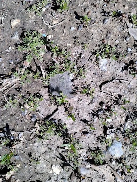 Escondido Village Picture 3