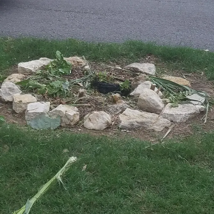 Pleasant Meadows Community Picture 8