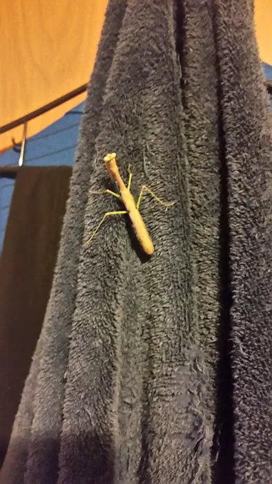 Wallen Park Estates Picture 4