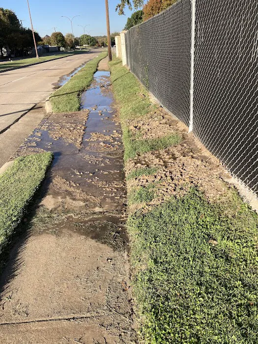 Forest Acres Picture 1