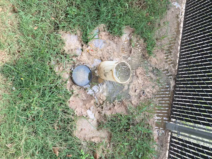 Forest Acres Picture 6