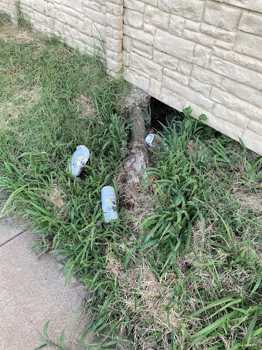 Forest Acres Picture 5