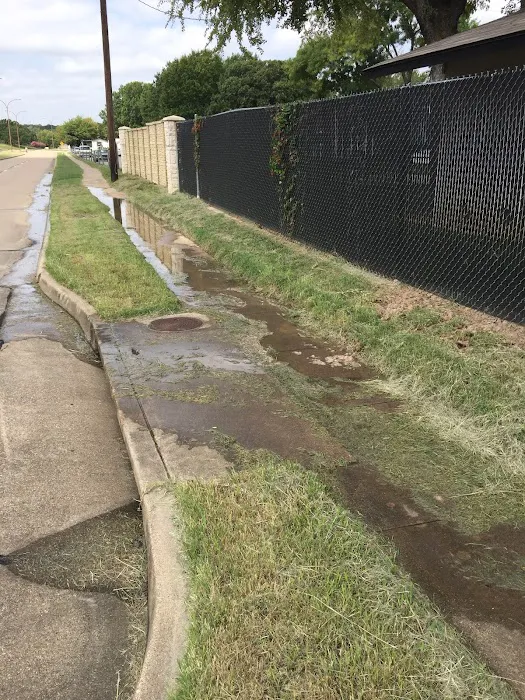 Forest Acres Picture 7