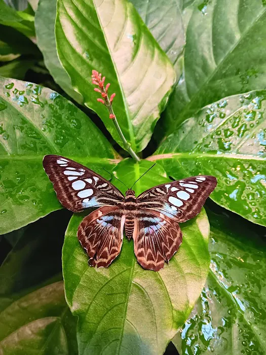 Oak Haven Estates Picture 1