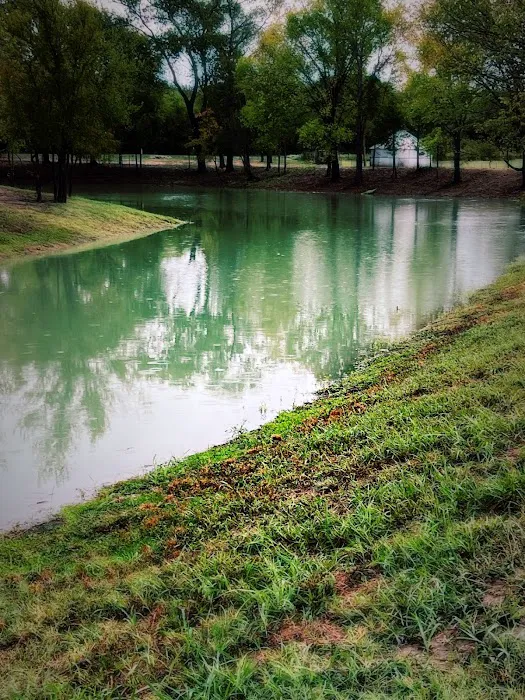 Lazy S Rv Ranch Picture 5