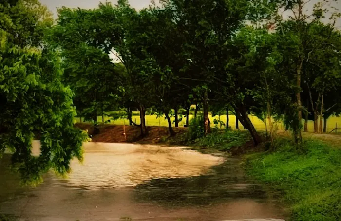 Lazy S Rv Ranch Picture 4