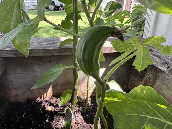 Buffalo Ridge Community, LLC Picture 5