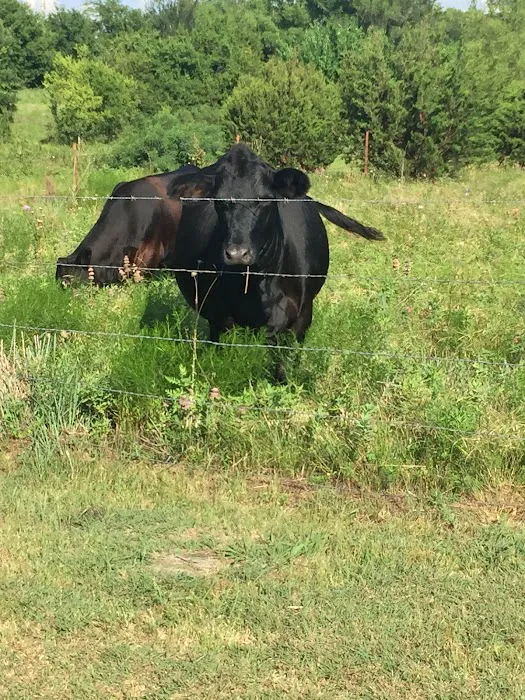 Rio Vista RV Park Picture 3