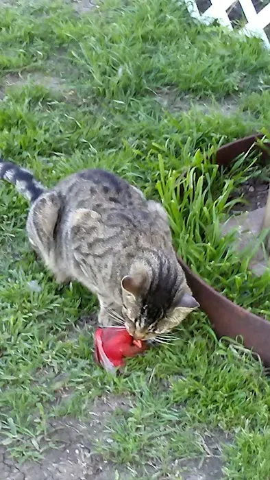 Rio Vista RV Park Picture 6