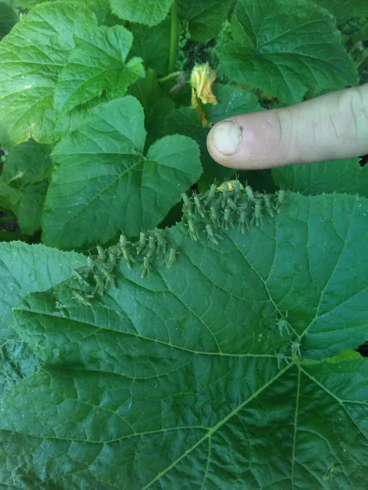 Rio Vista RV Park Picture 10