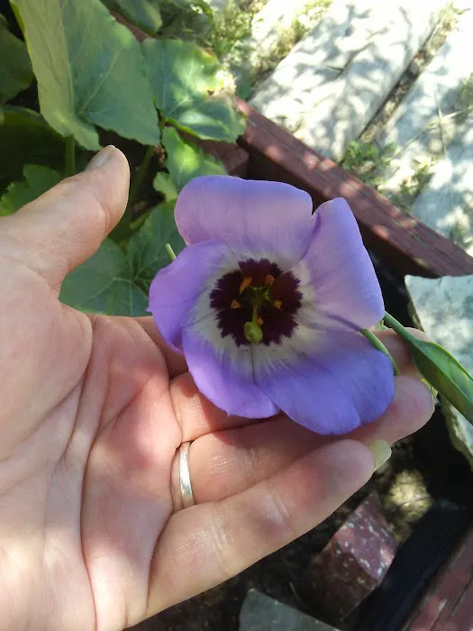 Rio Vista RV Park Picture 9