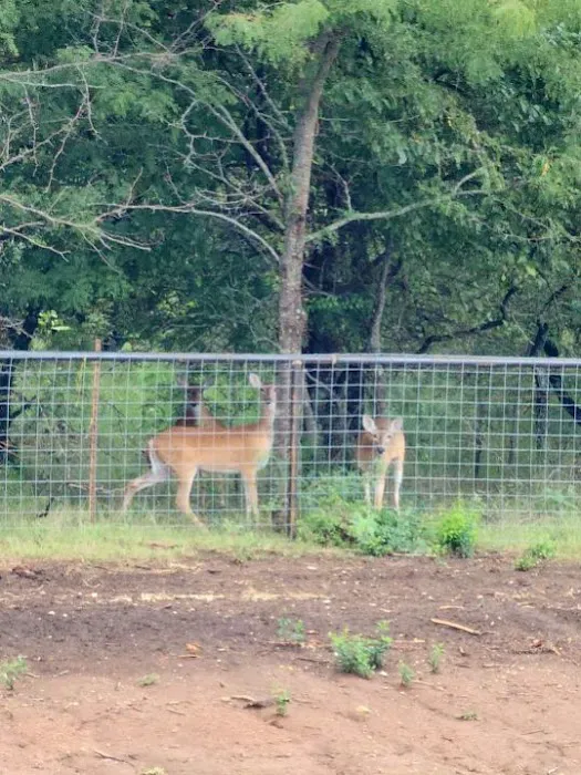 Highland Hideaway RV Resort Picture 9