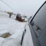 Purple cactus mobile home park