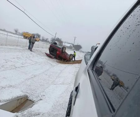 Purple cactus mobile home park