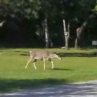 Quail Run RV Park ico