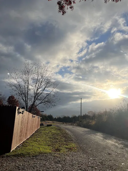 Skyline RV Park & Tiny Homes Picture 1