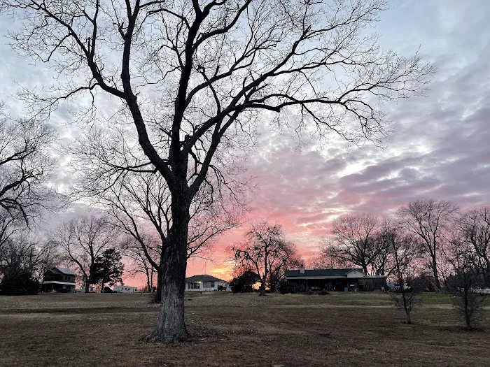 Skyline RV Park & Tiny Homes Picture 5