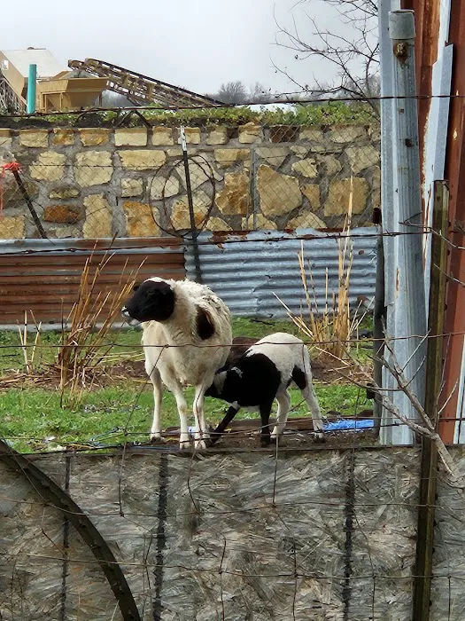 Lafons Rv Park Picture 6