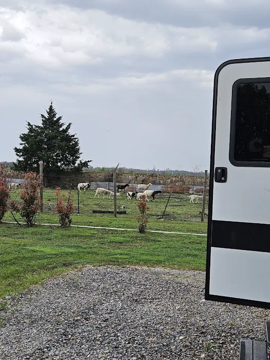 Lafons Rv Park Picture 5