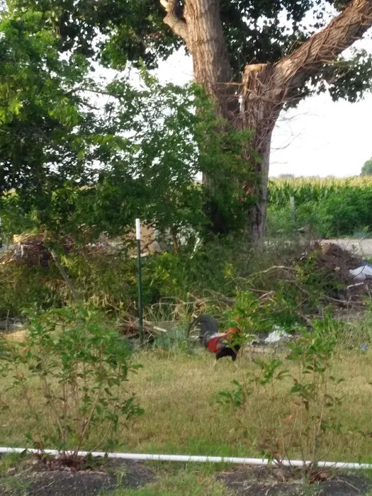 Lafons Rv Park Picture 9