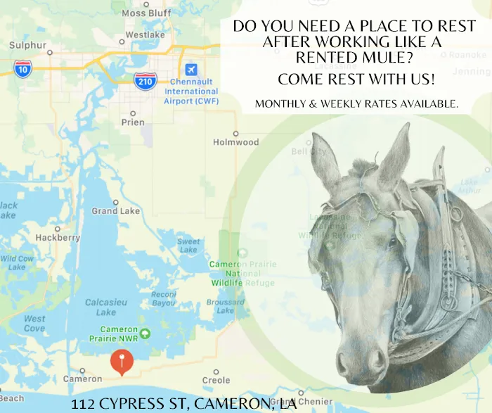 Rented Mule (RV Park) Picture 1