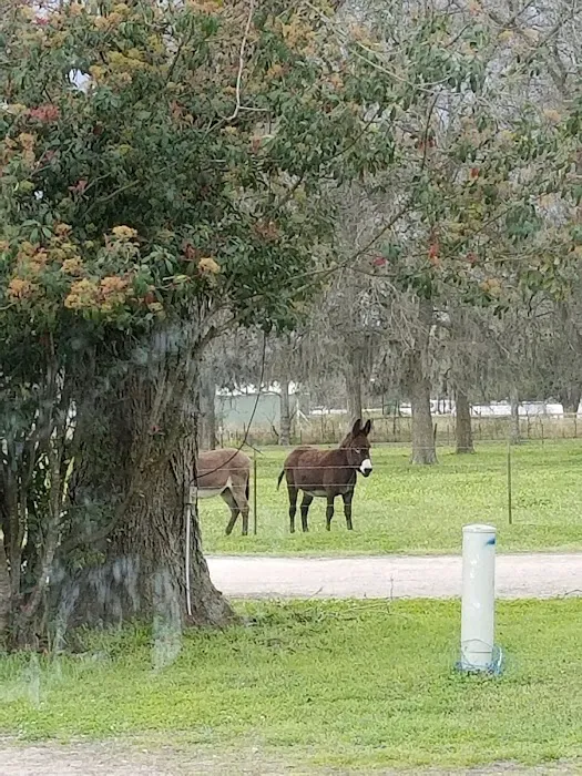 Shiloh RV Park Picture 7