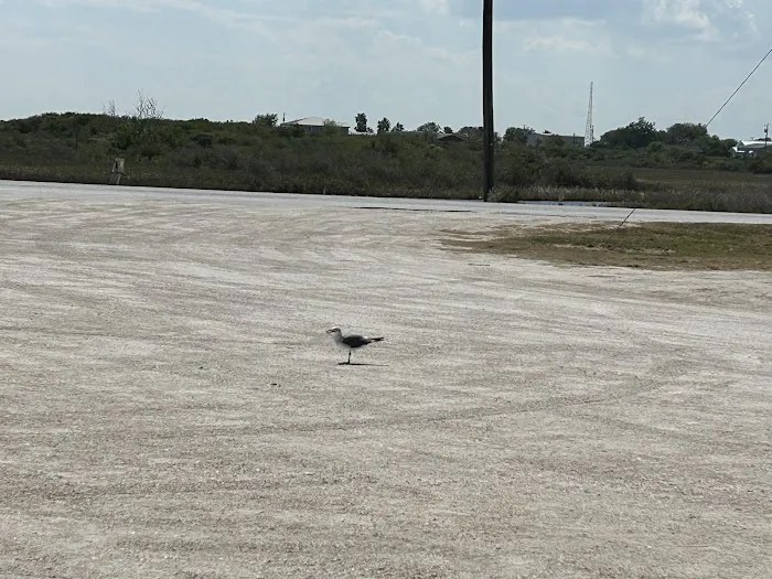 River City RV Park Picture 2