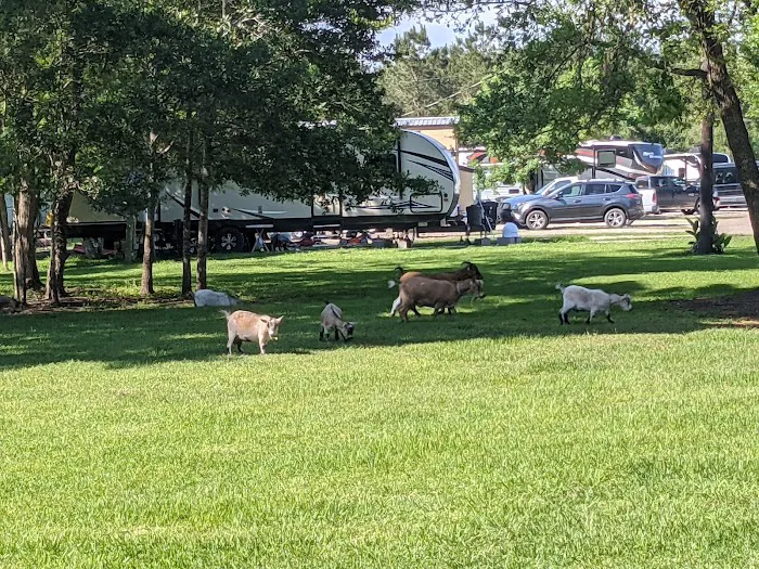 Bentley Ranch RV Park Picture 7