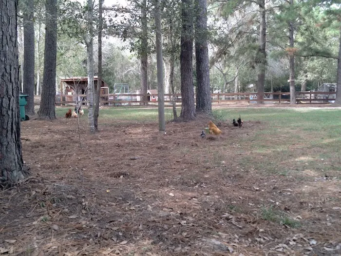 Bentley Ranch RV Park Picture 10