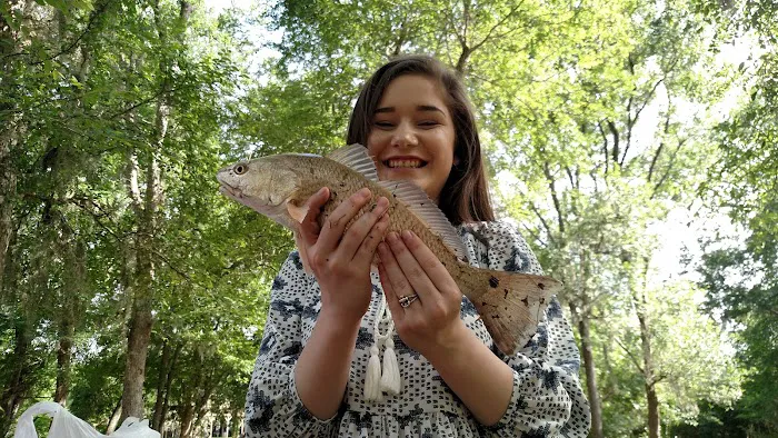 Chocolate Springs RV & Mobile Home Park Picture 5