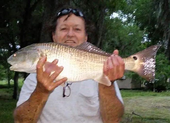 Chocolate Springs RV & Mobile Home Park Picture 4