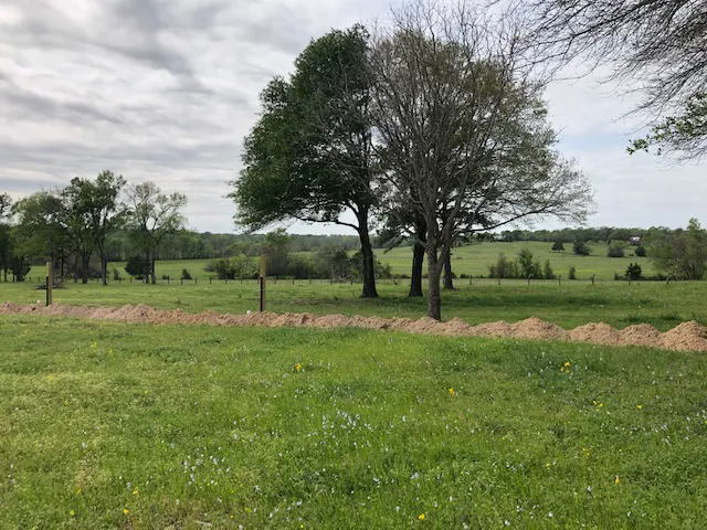 Birthplace of Texas RV Park Picture 1