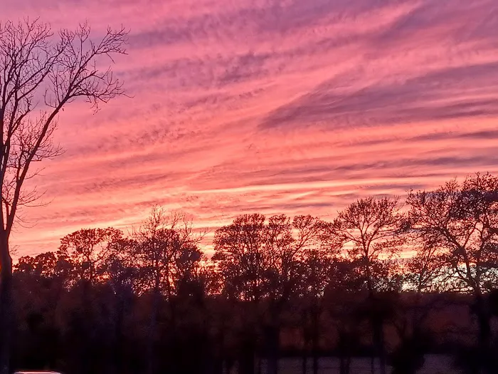 Birthplace of Texas RV Park Picture 6