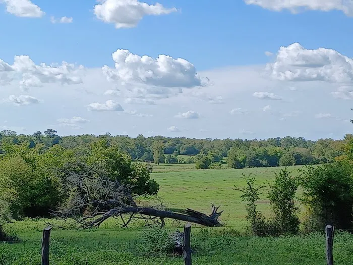 Birthplace of Texas RV Park Picture 4