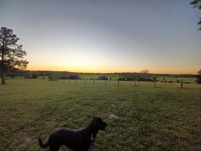 Birthplace of Texas RV Park Picture 7